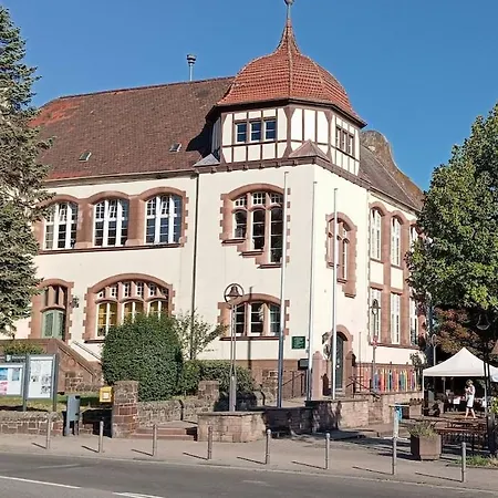 Lavendel * Kirchheim an der Weinstrasse