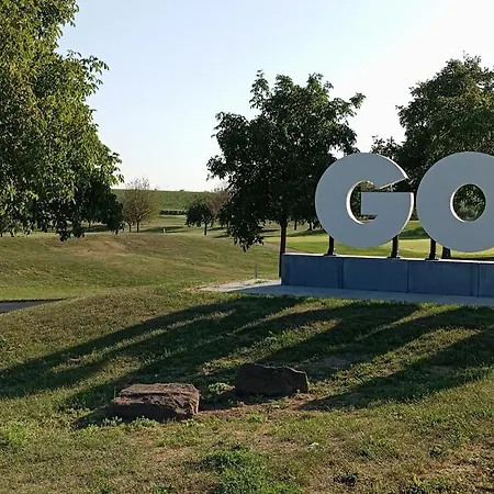 Lavendel * Kirchheim an der Weinstrasse