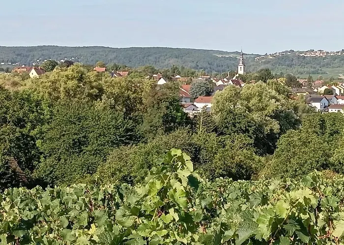 Lavendel Апартаменты Kirchheim an der Weinstrasse